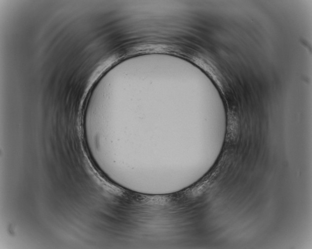 X0000096461090200802211120