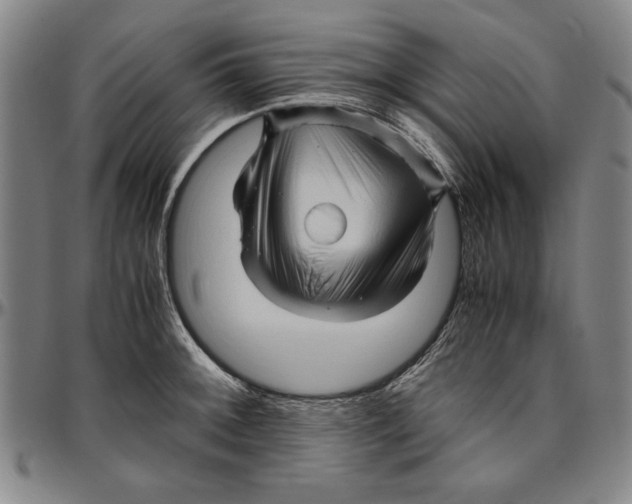 X0000096461092200802211120