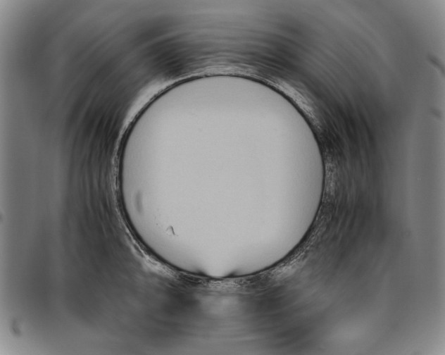 X0000096461094200802211120