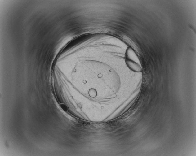 X0000096461095200802211120