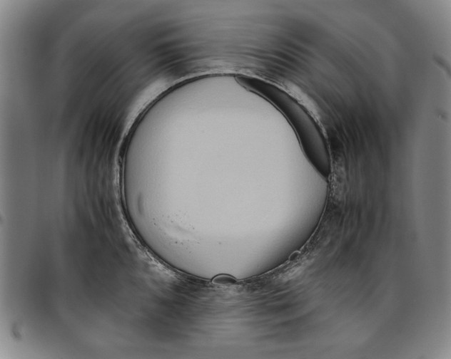 X0000096461096200802211120