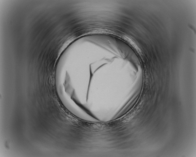 X0000096461097200802211120