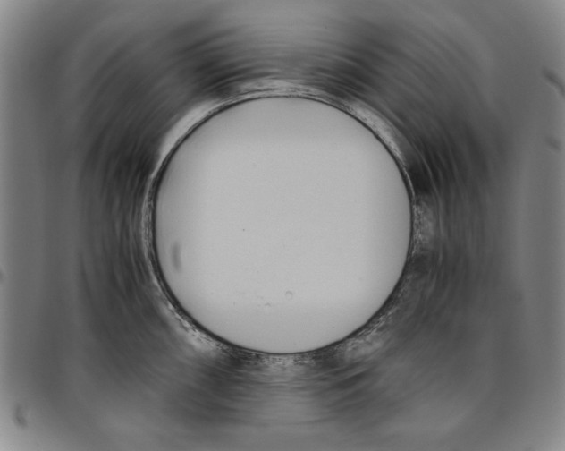 X0000096461098200802211120