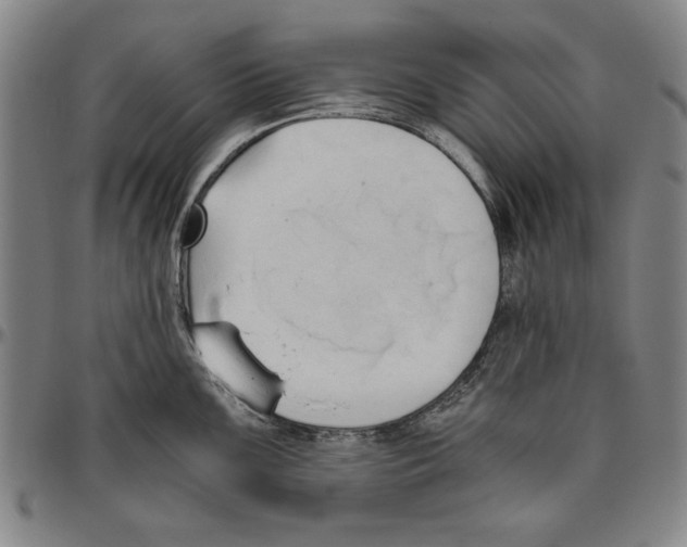 X0000096461099200802211119