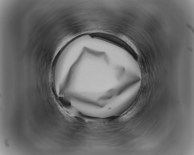 X0000096461101200802211119