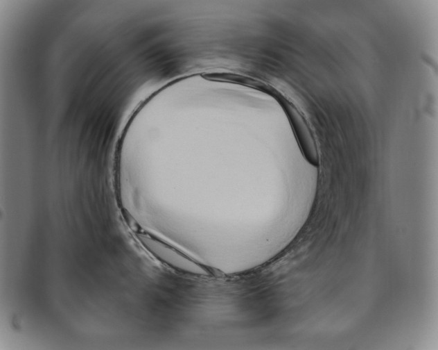 X0000096461104200802211119