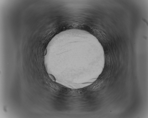X0000096461105200802211118