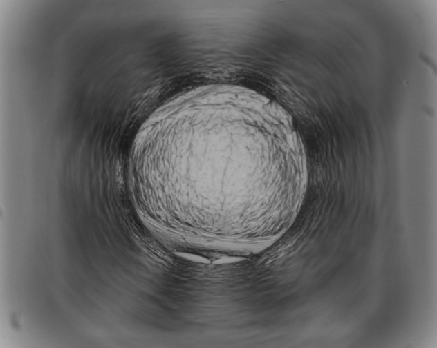 X0000096461106200802211118
