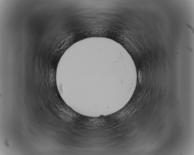 X0000096461107200802211118
