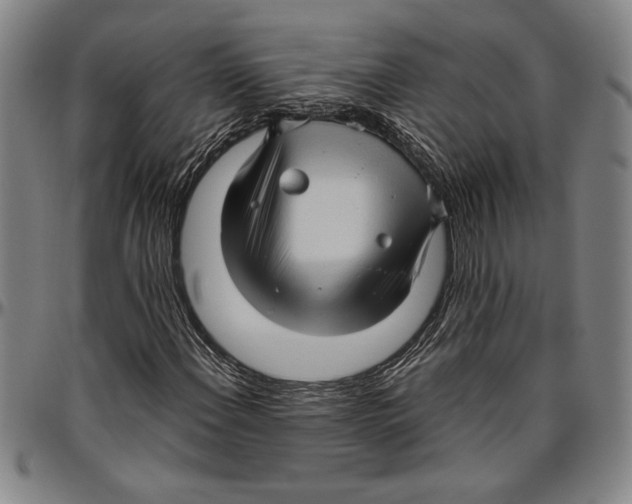 X0000096461108200802211118