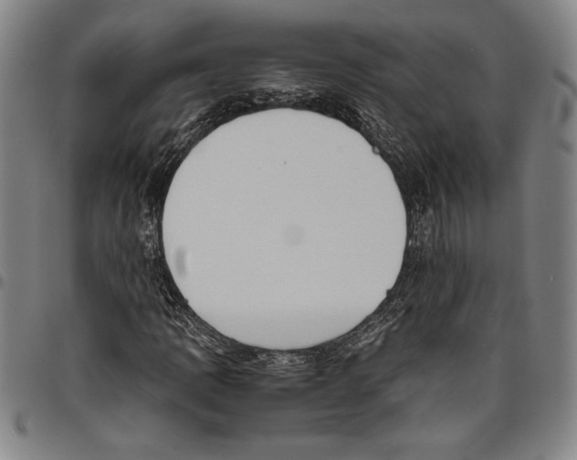 X0000096461109200802211118