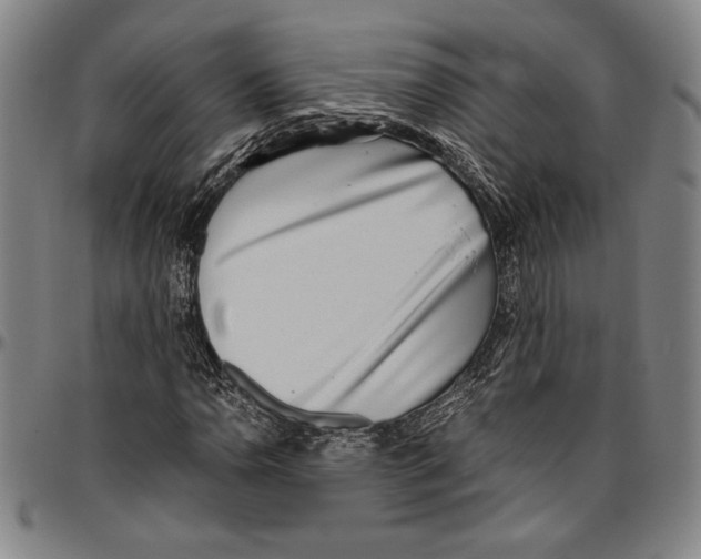 X0000096461110200802211119