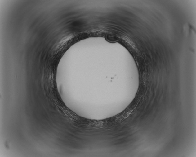X0000096461111200802211119
