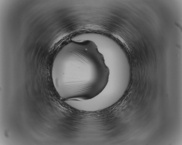 X0000096461112200802211119
