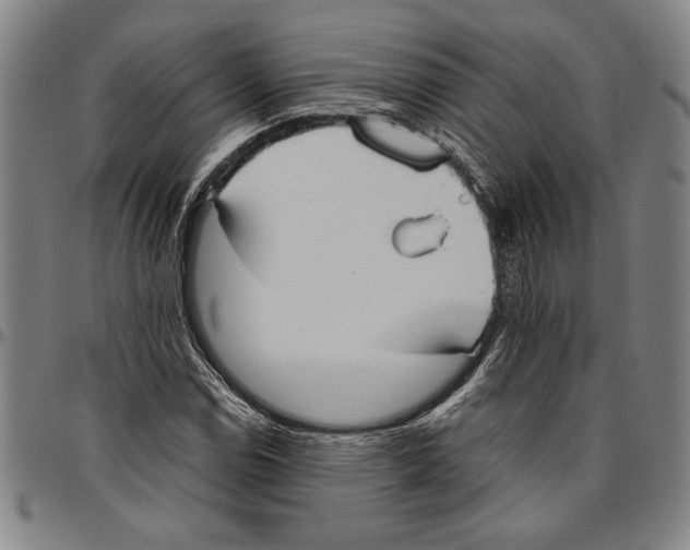 X0000096461114200802211119