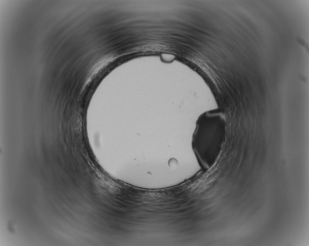 X0000096461115200802211119