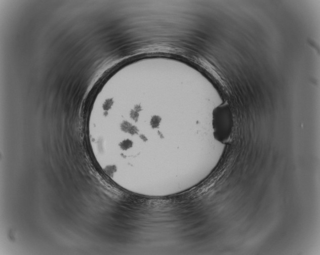 X0000096461116200802211119