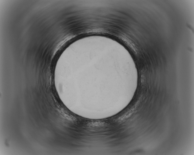 X0000096461117200802211119