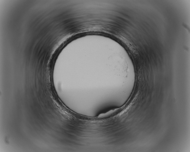 X0000096461118200802211119