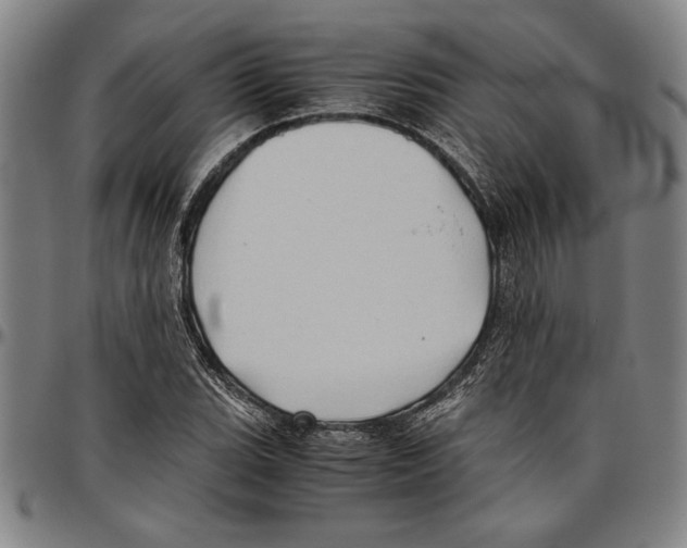X0000096461119200802211119