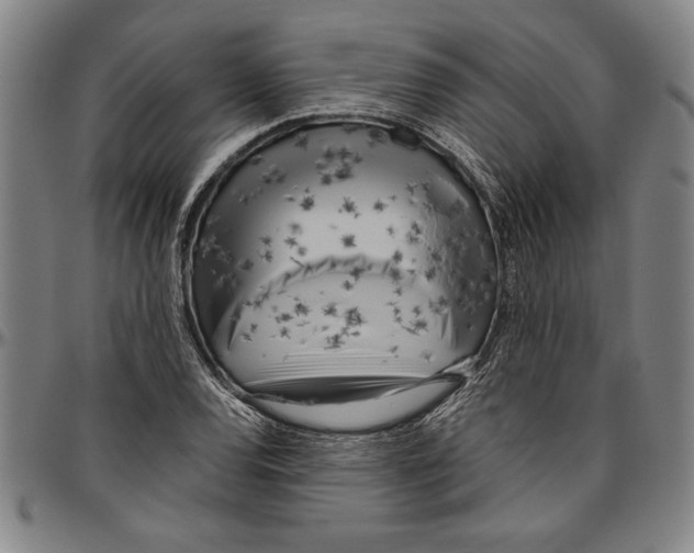 X0000096461120200802211119