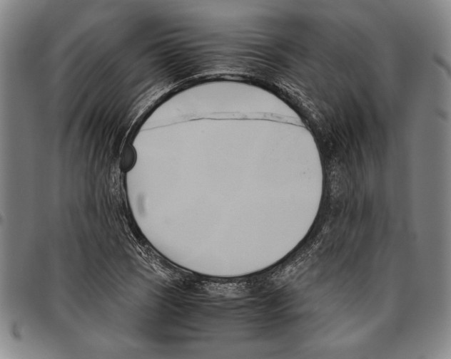 X0000096461121200802211119