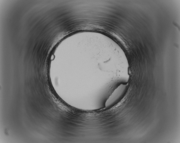 X0000096461122200802211119