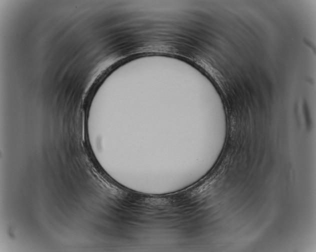 X0000096461123200802211119