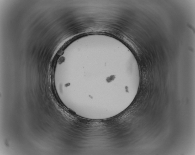 X0000096461124200802211119