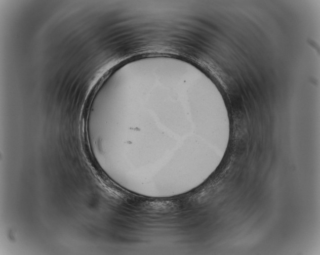 X0000096461125200802211119