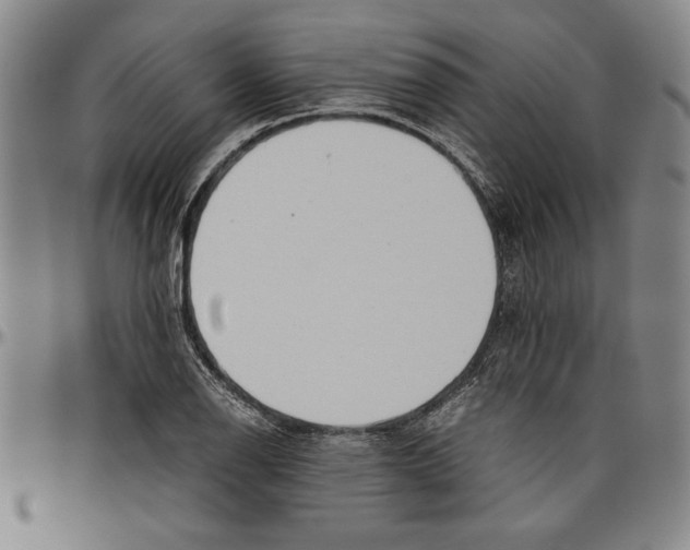 X0000096461126200802211119