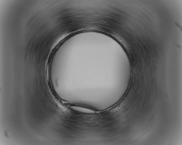 X0000096461127200802211119