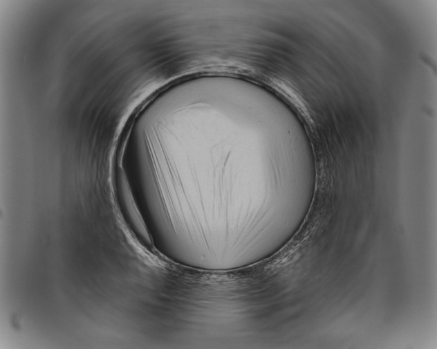 X0000096461128200802211119