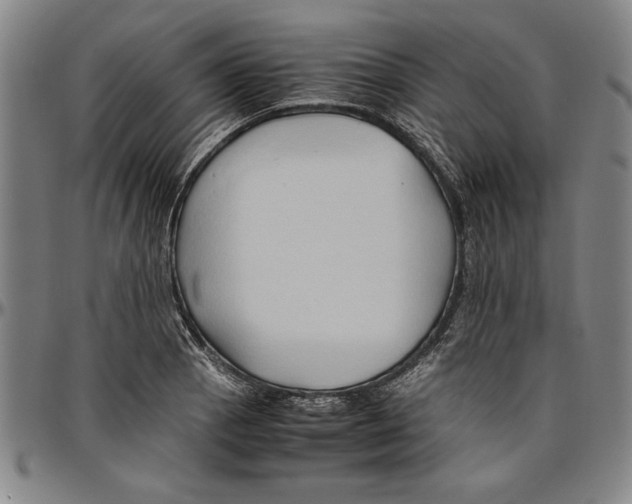 X0000096461129200802211119