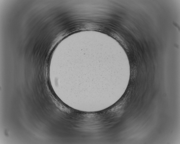X0000096461130200802211119