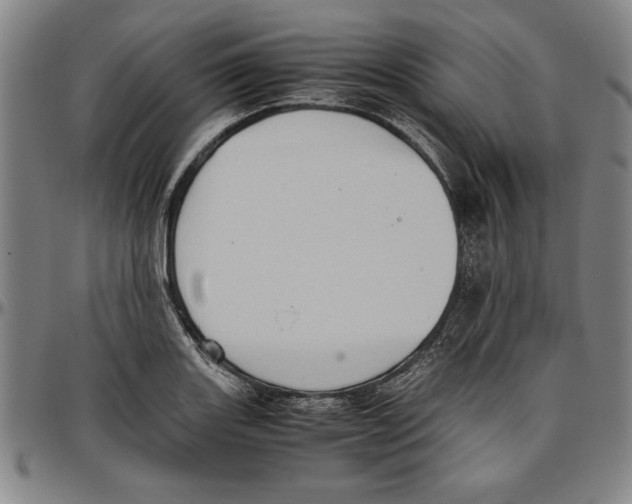 X0000096461131200802211119