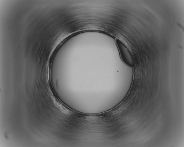 X0000096461132200802211119
