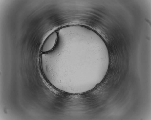 X0000096461134200802211119