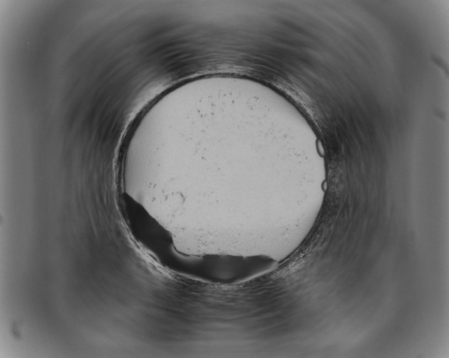 X0000096461135200802211119