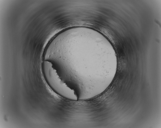 X0000096461136200802211119