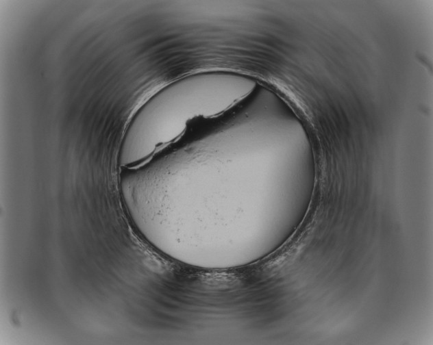 X0000096461137200802211119
