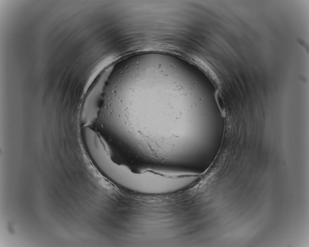 X0000096461138200802211119