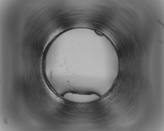 X0000096461139200802211119