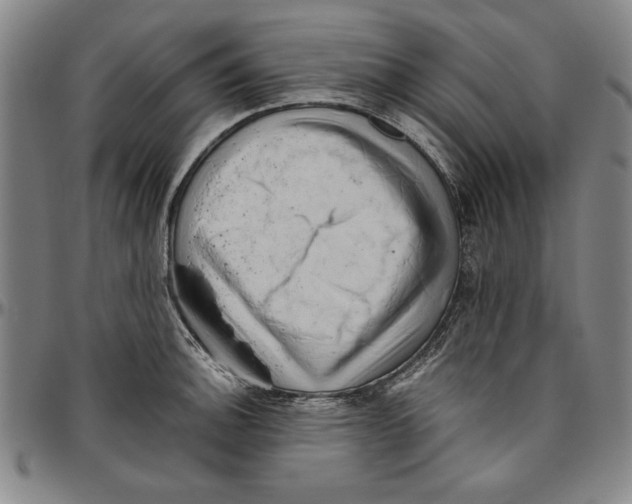 X0000096461140200802211119