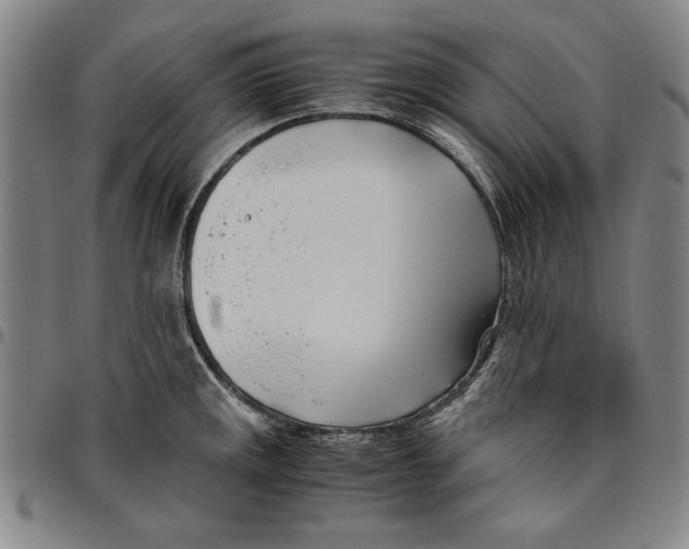 X0000096461141200802211119
