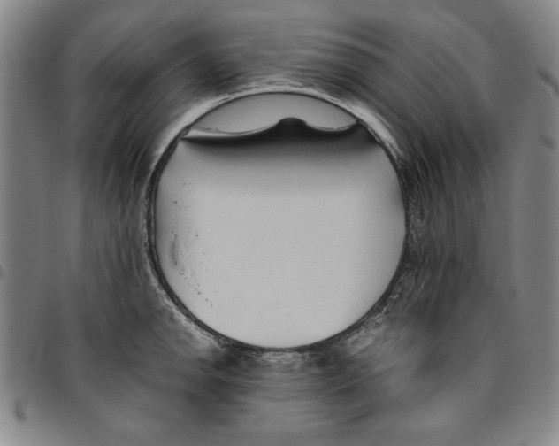 X0000096461142200802211119