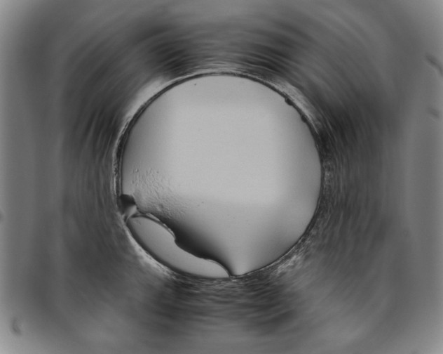 X0000096461143200802211119