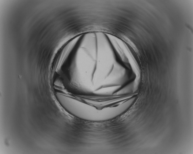 X0000096461144200802211119
