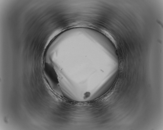 X0000096461146200802211119