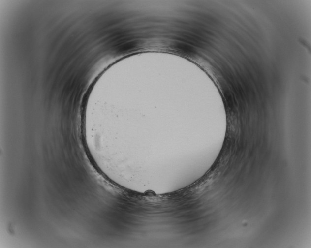 X0000096461147200802211119